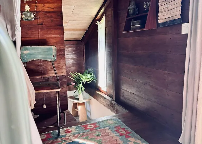 Jungleroom