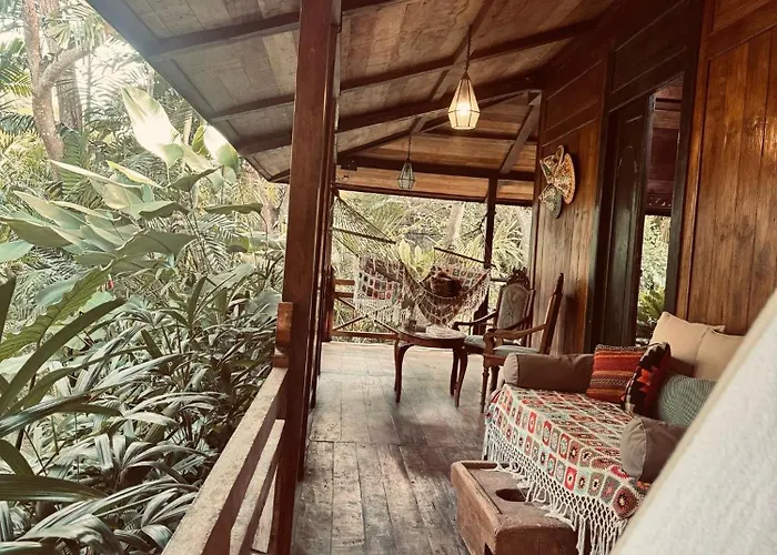 Jungleroom *