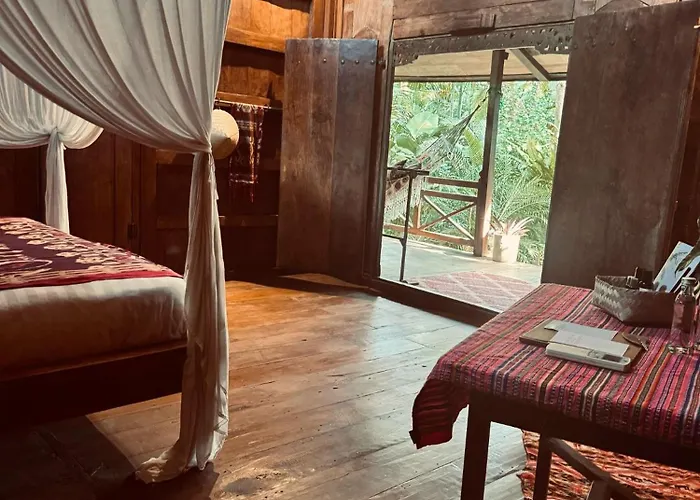 Jungleroom